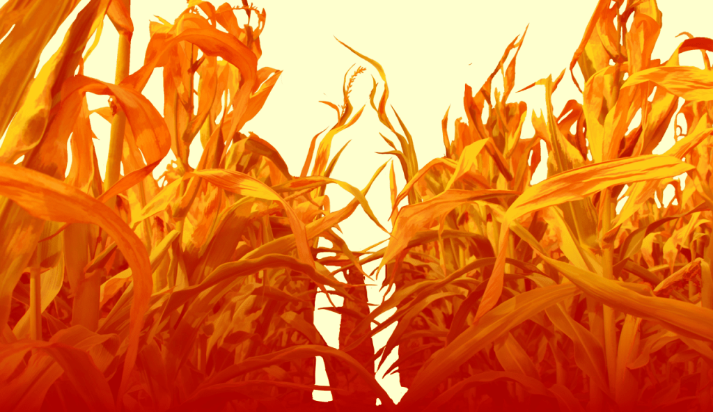 A silhouette of a human figure formed out of leaves of corn plants
